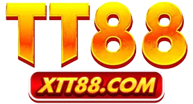 Site Trắng – MTP
