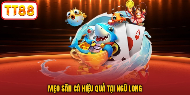 Mẹo săn cá hiệu quả tại Ngũ Long